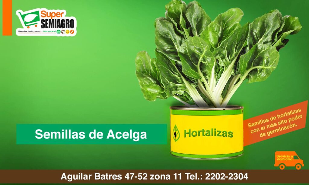 CREATIVIDAD