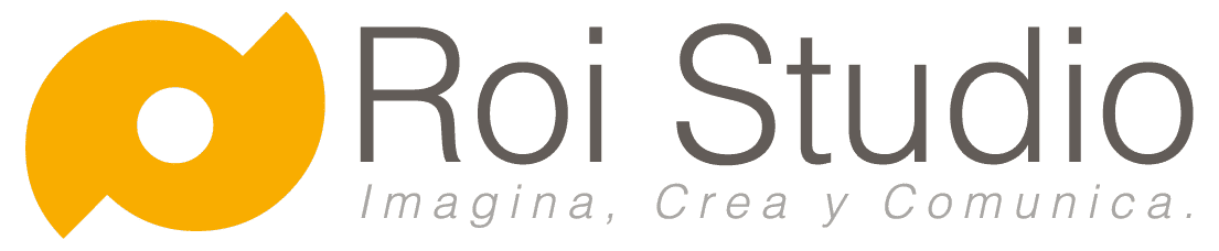 Roi Studio - agencia de marketing y medios digitales